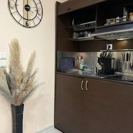 Apartment Heart Of Athens, Right Next To Syntagma Square Athens
